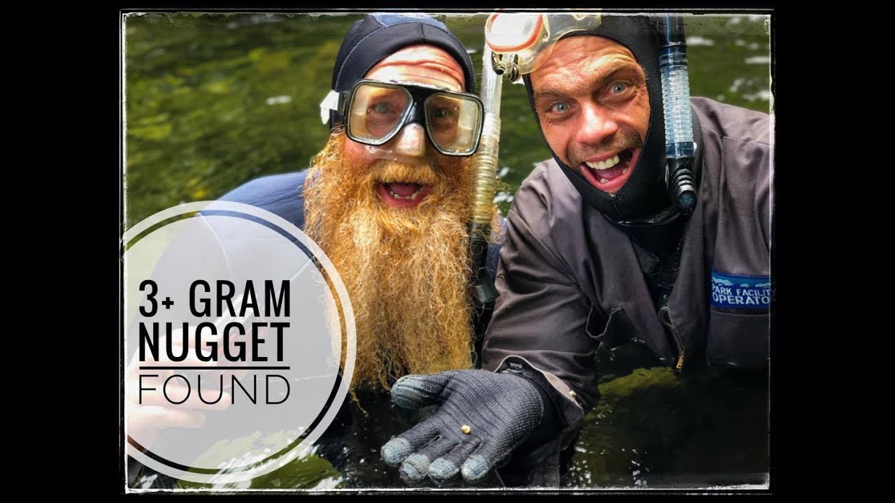 GOLD NUGGETS  FOUND !!