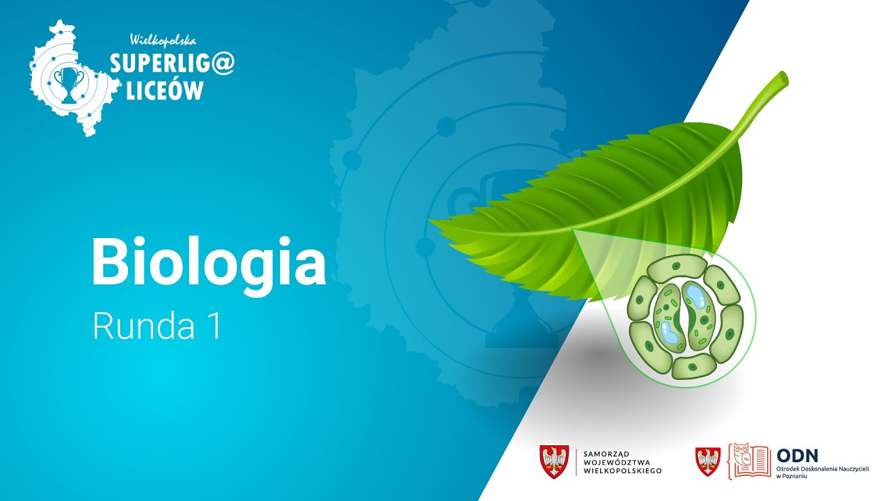 Runda 1. Biologia | Wielkopolska Superliga Liceów 2023/2024