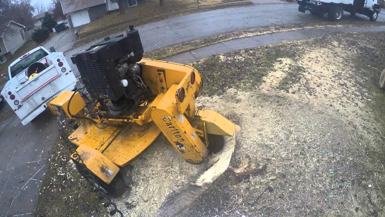 Tree Services of Omaha - Stump Removal 12/14/14
