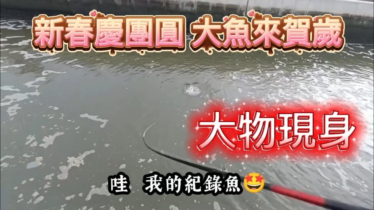 新春佳節賀歲片🎣（催落去）現正上映中 🤩 #日本鎢鈦鋼管附千又鈎 #擊敗蚵棚 #釣魚 #阿旺愛釣魚