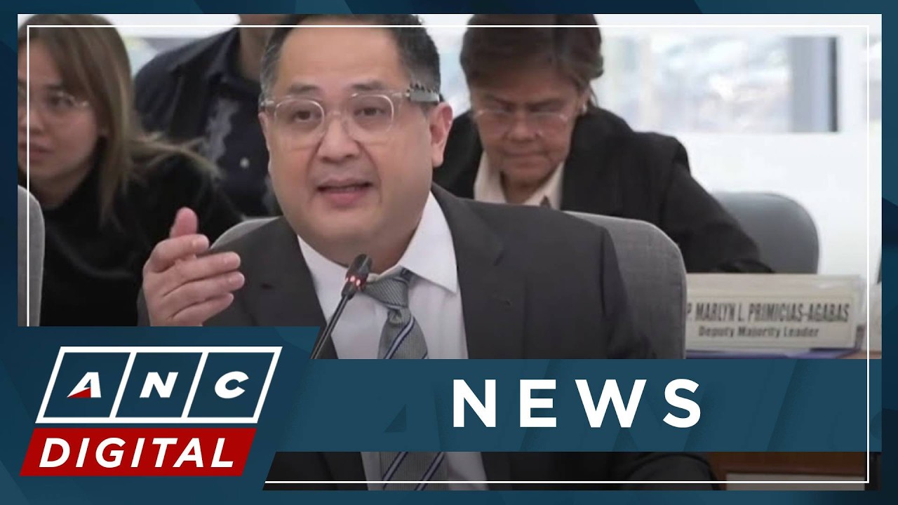 Suntay's lewd remarks stricken from House panel's record | ANC