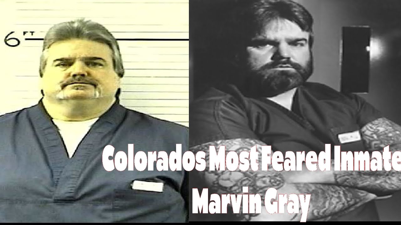 Marvin Gray, Apex Predator, Serial Killer, Booty Bandit...@gangish @savagesev8773