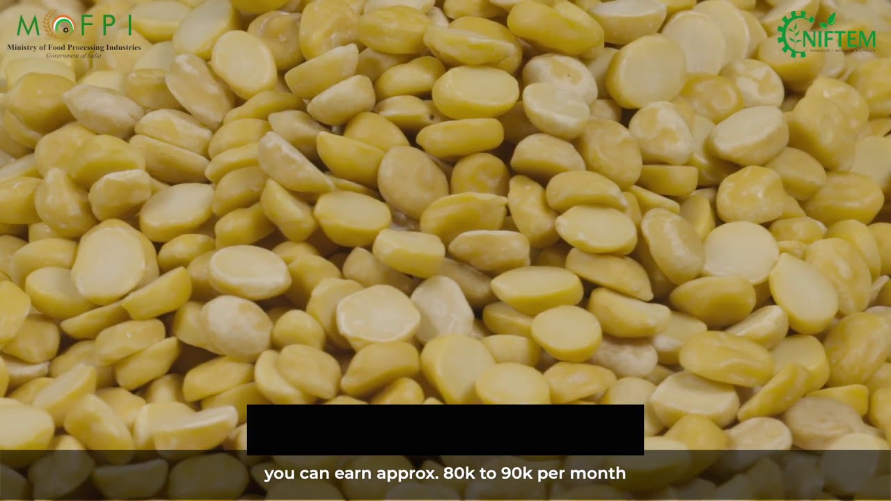 Besan Processing Business - NIFTEM