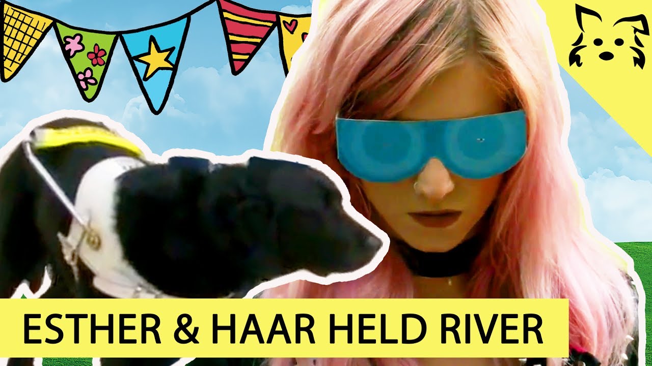 ONNEDI leert lopen met BLINDEGELEIDENHOND!! - Fikkie TV | Hond van het Jaar #4
