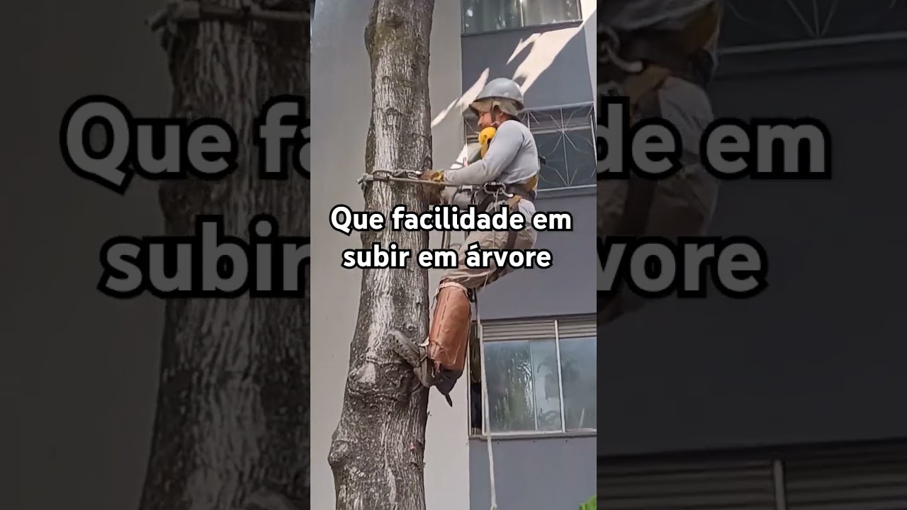 Como subir em &aacute;rvore com espora de bico #espora de #bico #dicas
