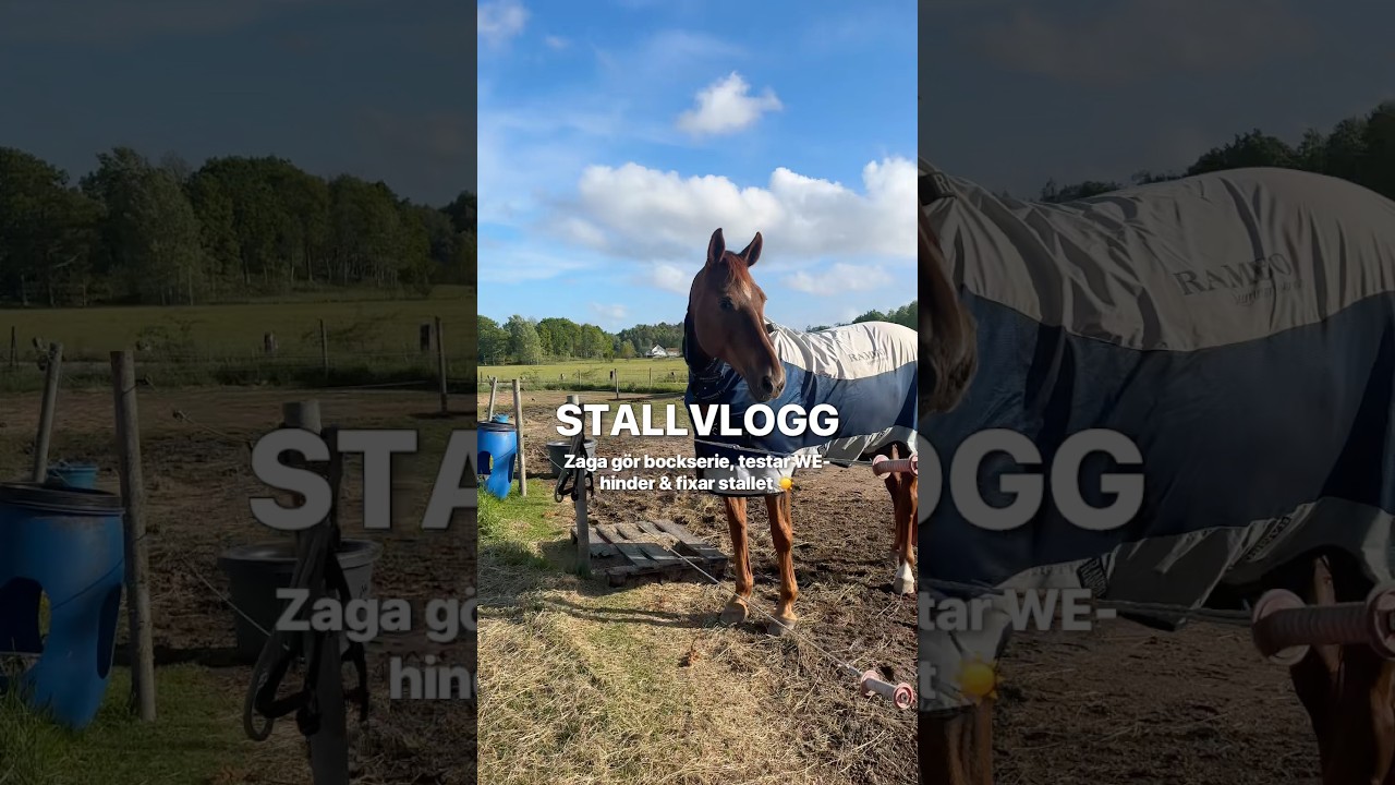 STALLVLOGG | Bockserie barbacka, testar WE-hinder & fixar stallet