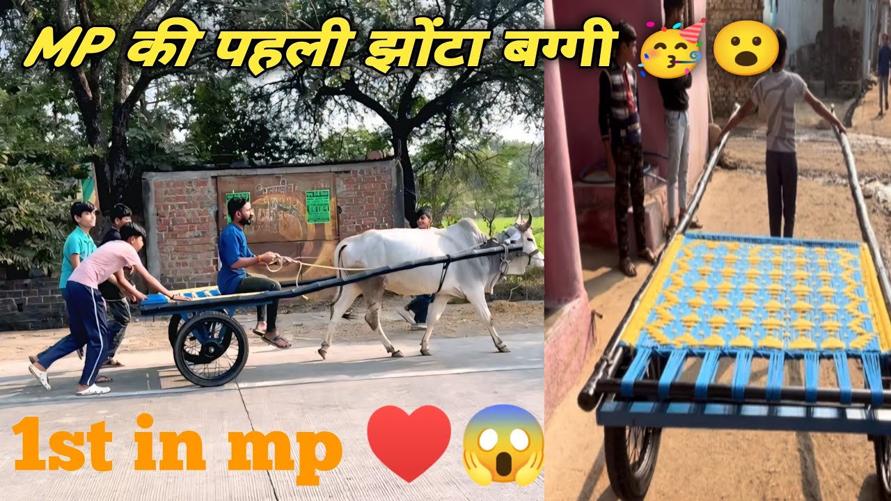 Finally baggi बन गई ❤️🥳🫵#trending #shortvideo #top #minivlog #vlog #vlogger #vlogs #horse #bull 