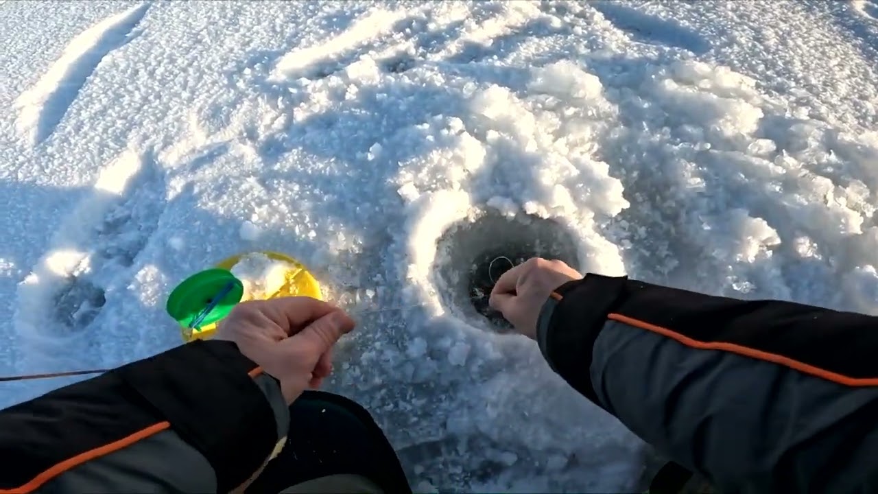 Прекрасний день біля Десни! Ловля щуки на жерлиці.
