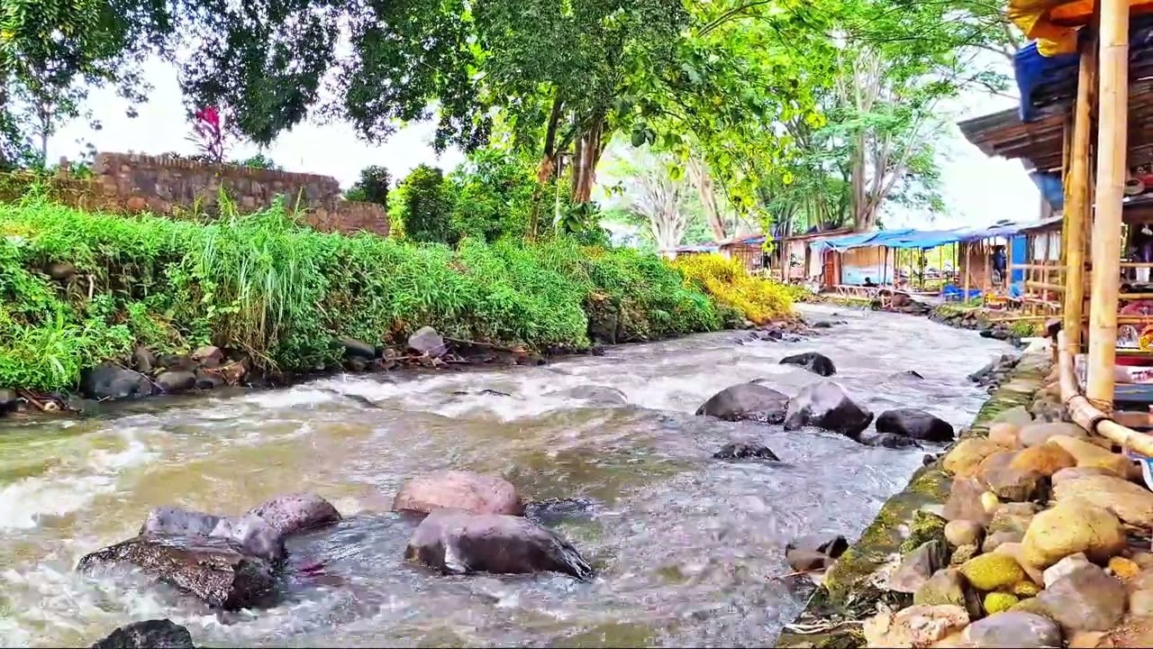 Relaksasi suara aliran air sungai yang mengalir 