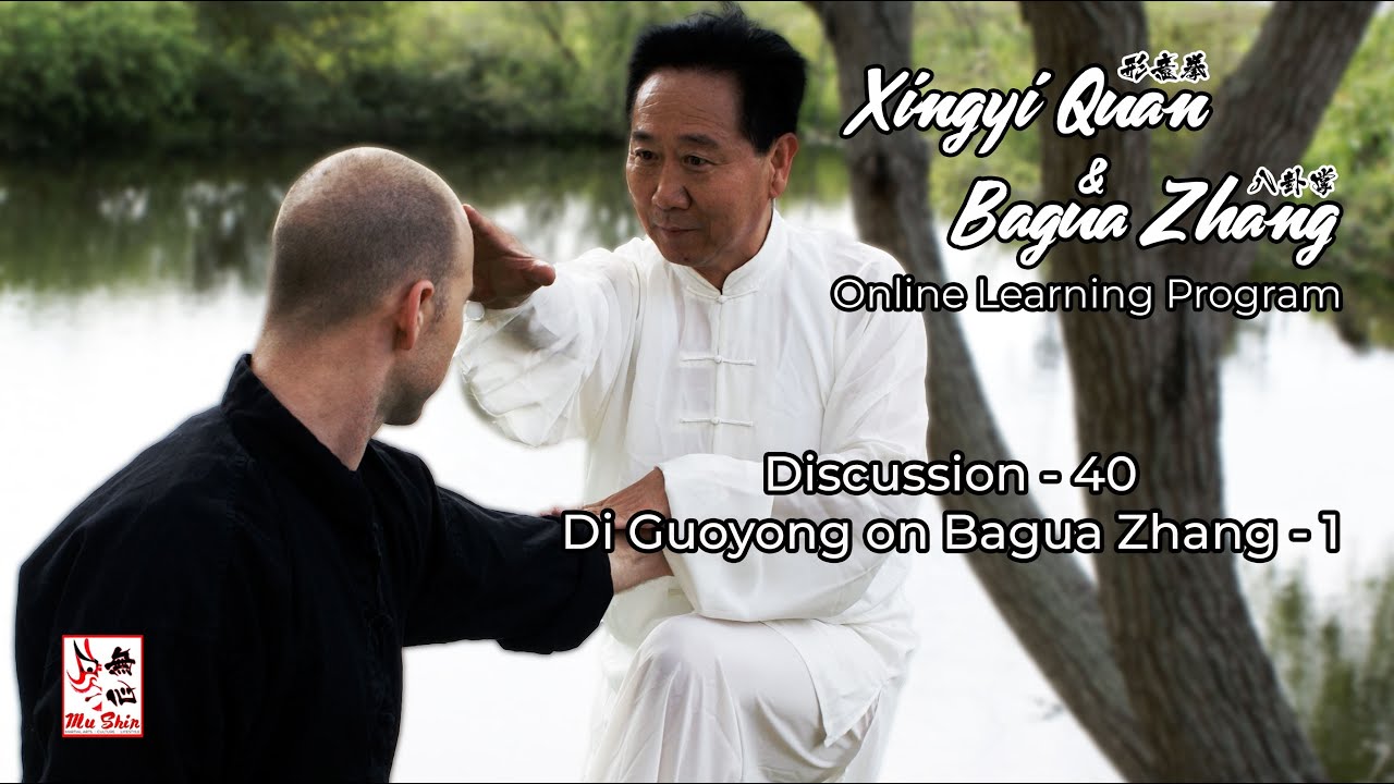 Bagua Zhang Origins & Development - Master Di Guoyong on Bagua Zhang #baguazhang #taichi #八卦掌