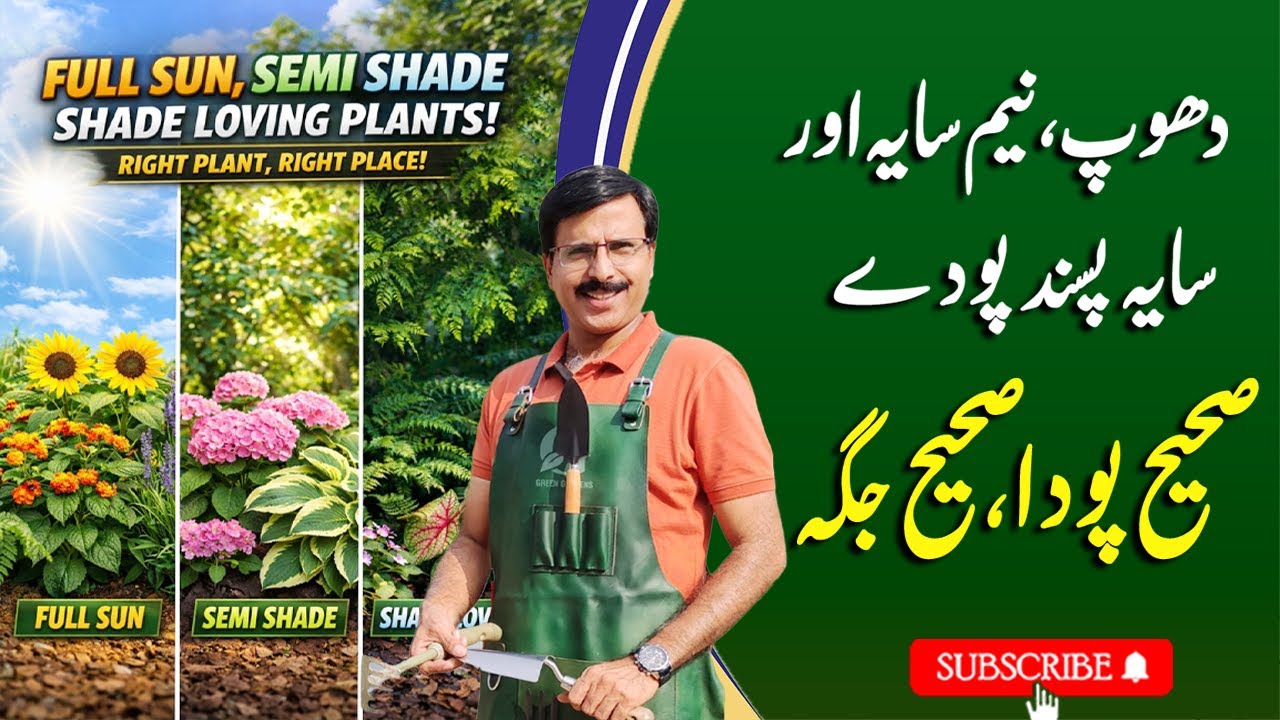 Full Sun, Semi Shade & Shade Loving Plants | Complete Gardening Guide | Gardening With Javed Iqbal