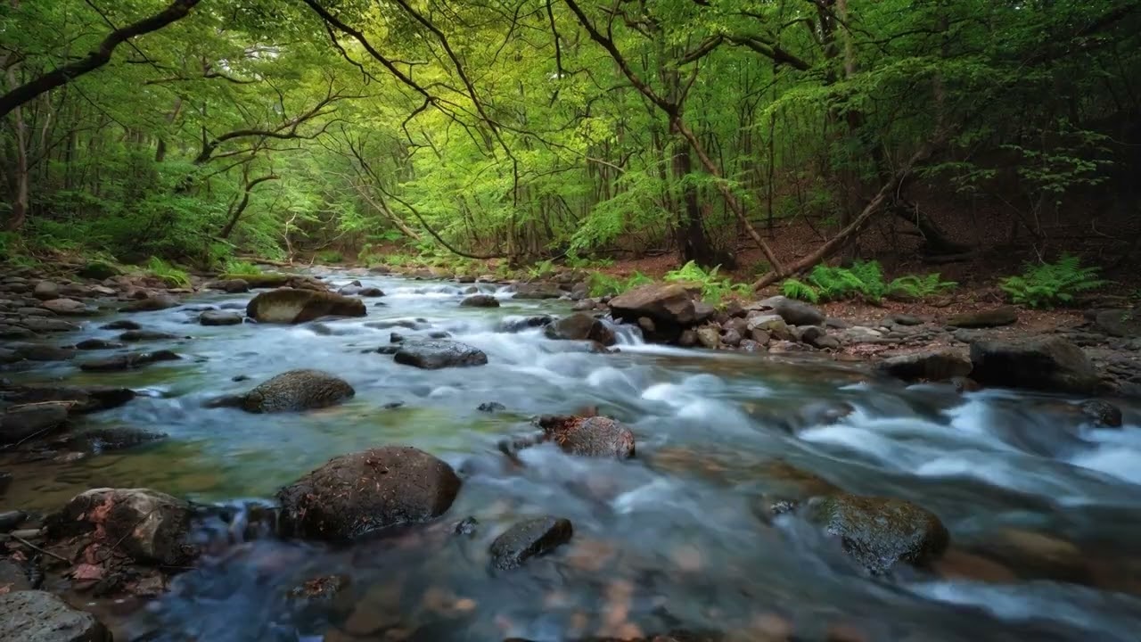 from STRESS? Hit Play & Find INSTANT PEACE 🌊 | The Ultimate 3 HOUR Healing Music Mix for Deep Sleep