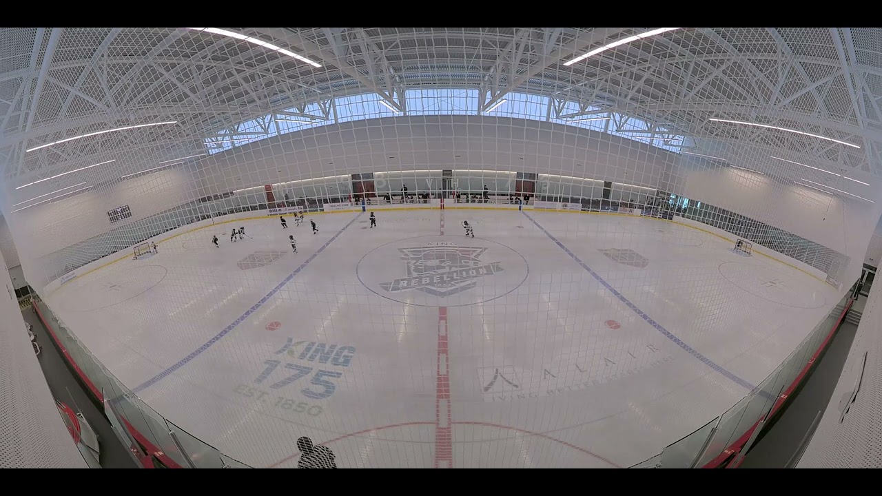 SSvsDucksFeb14part2