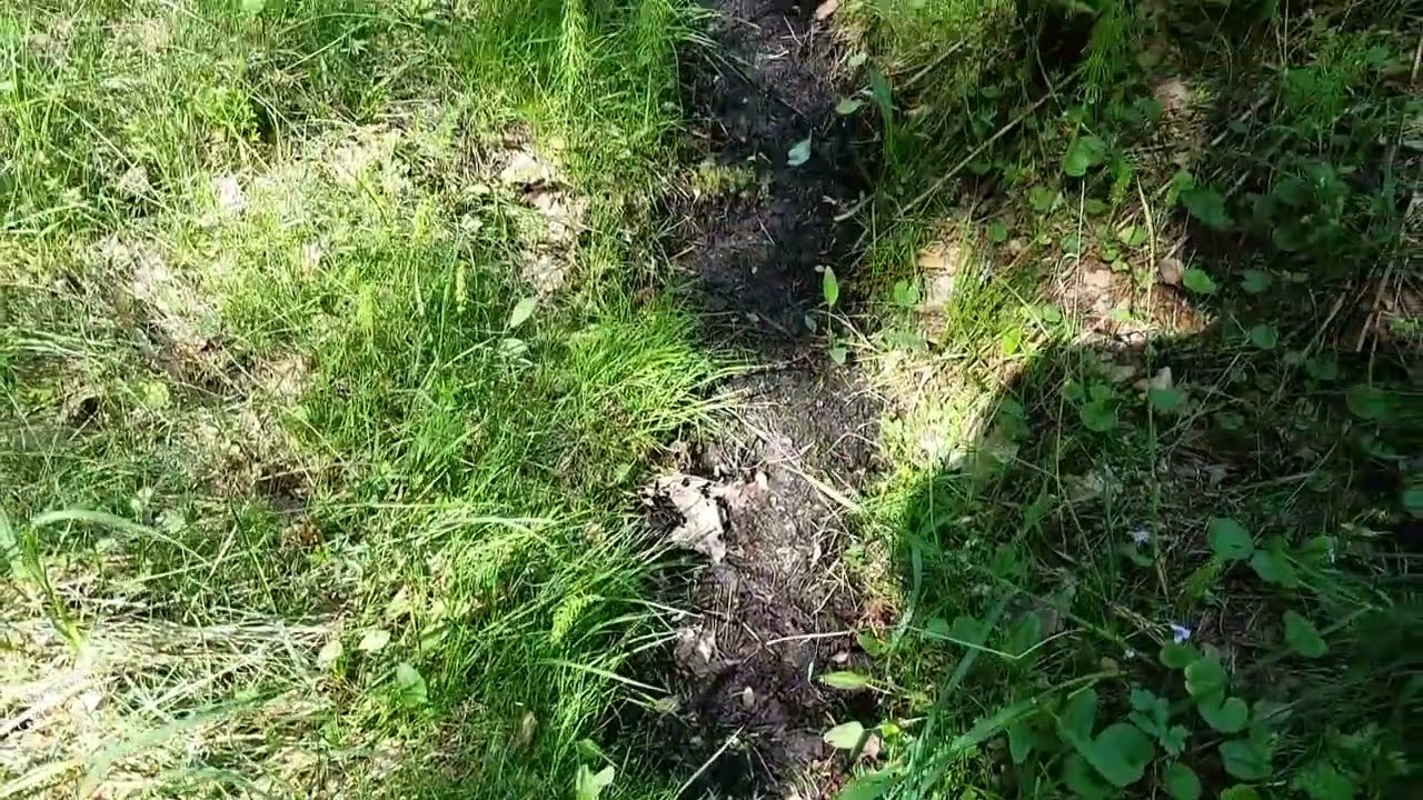Krzna w Międzyrzecu Podlaskim i źr&oacute;dło rzeki Krzna Południowa