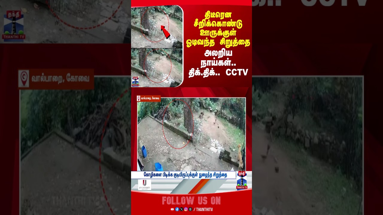 Coimbatore | Leopard | CCTV | Viral Video