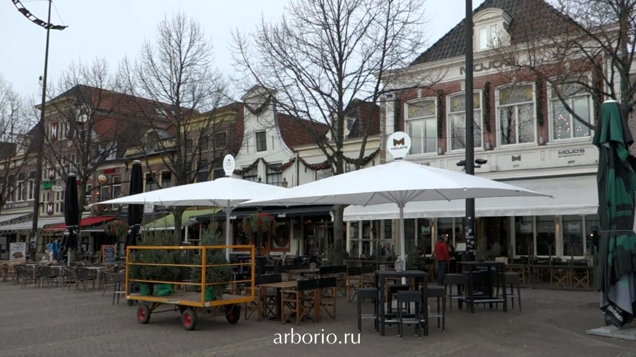 Соблазны и опасности Алкмара