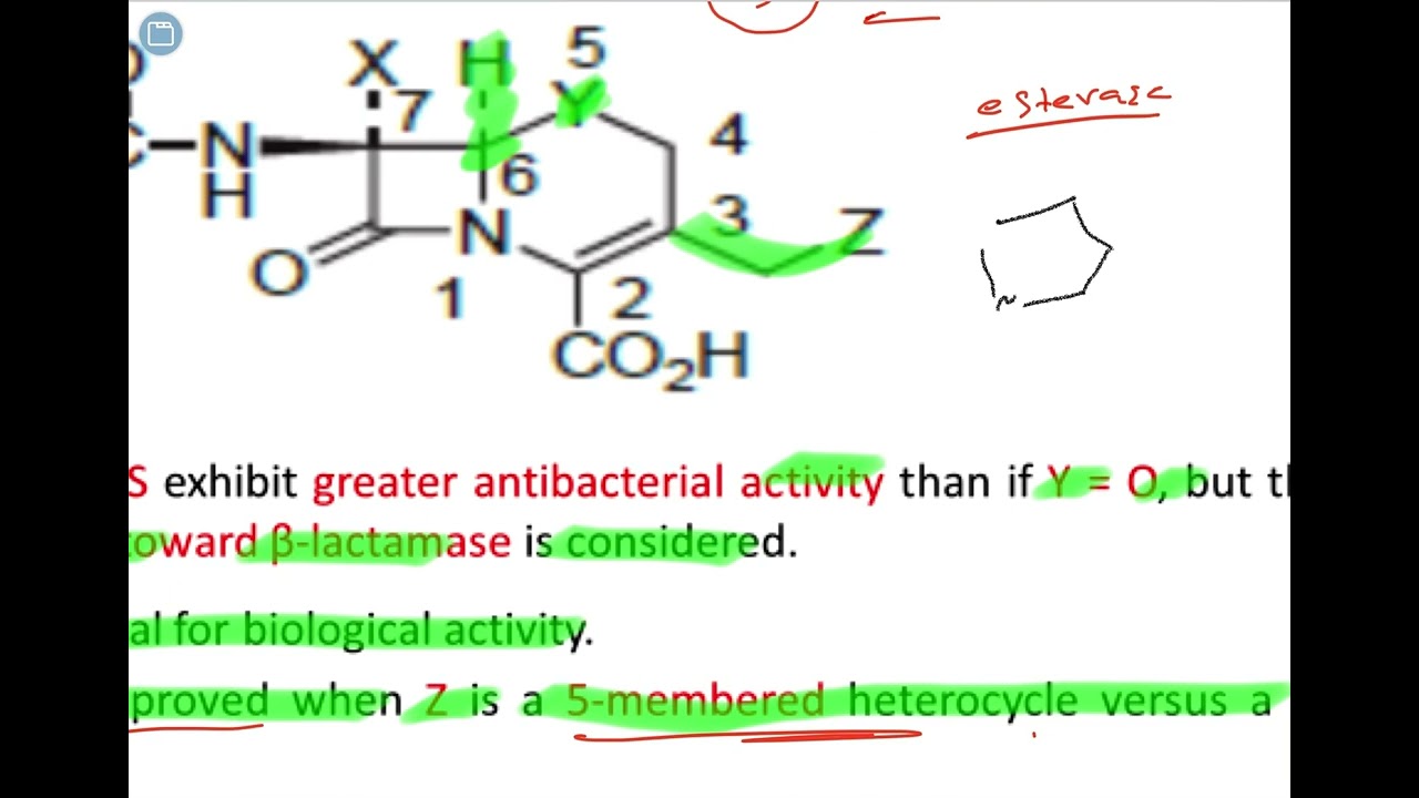 شرح Cephalosporins كيمياء صيدلانية