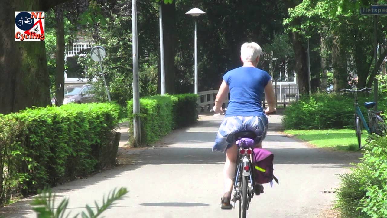 Summer cycling in the Netherlands