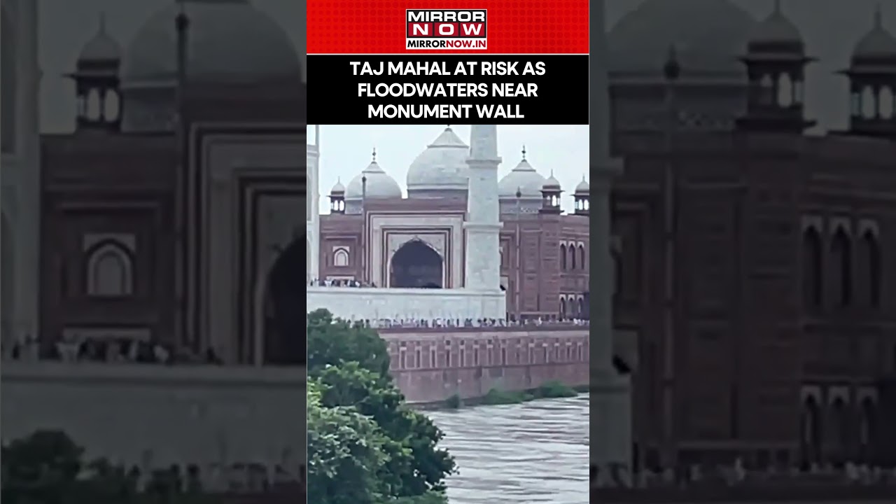 Taj Mahal at Risk as Yamuna River Swells In Agra; Floodwaters near Monument Wall | Watch 