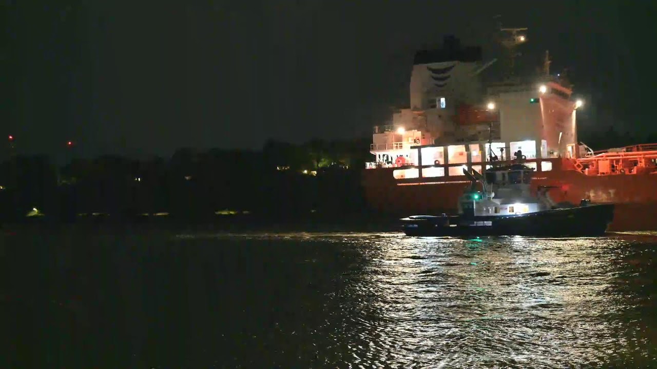 MSC Preziosa und Beifang