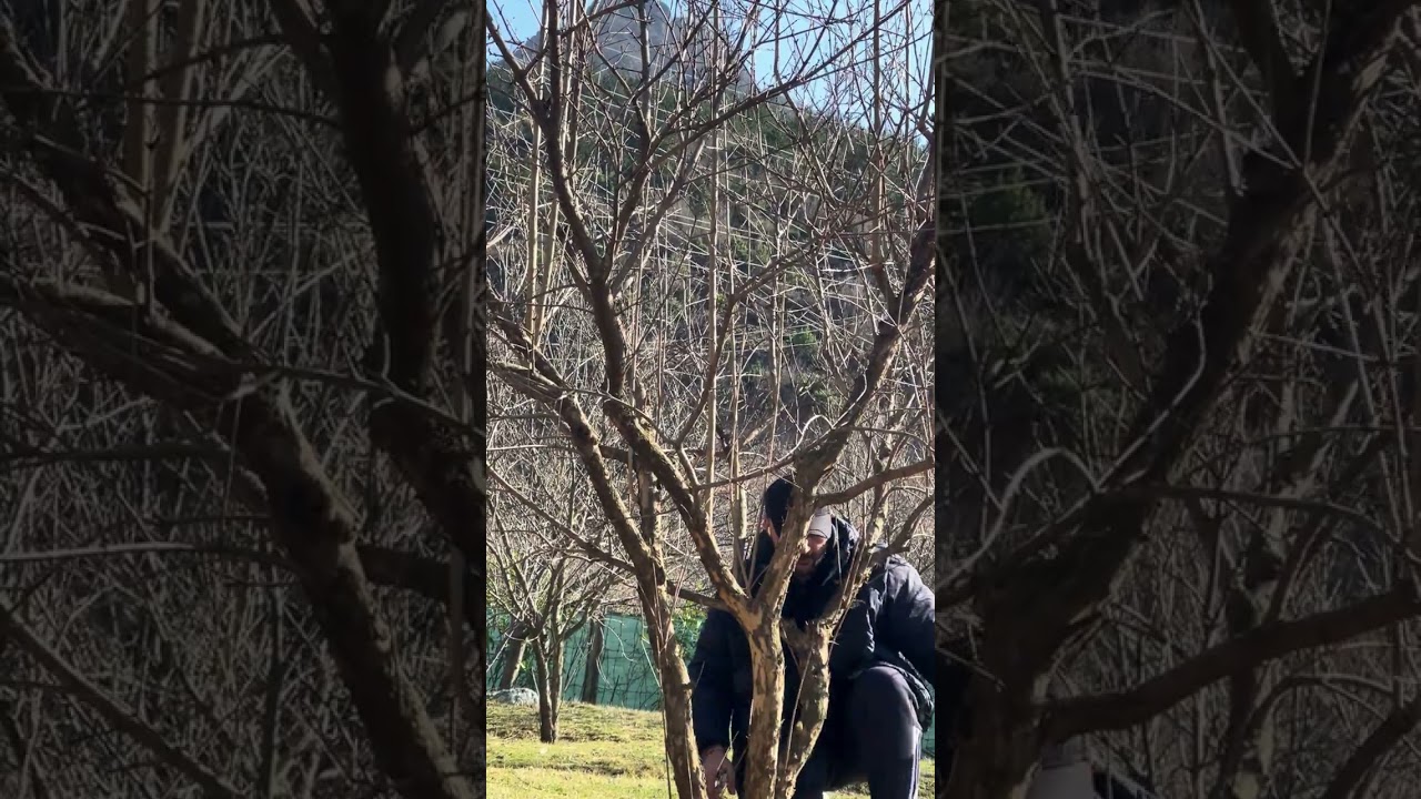 🌿 Suoni della Terra – Dove la natura parla e l’anima ascolta.