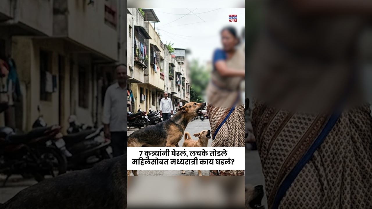 Midnight Horror in Pune: चाकणमध्ये भटक्या कुत्र्यांचा कहर,भटक्या कुत्र्यांचा बंदोबस्त कधी? #shorts