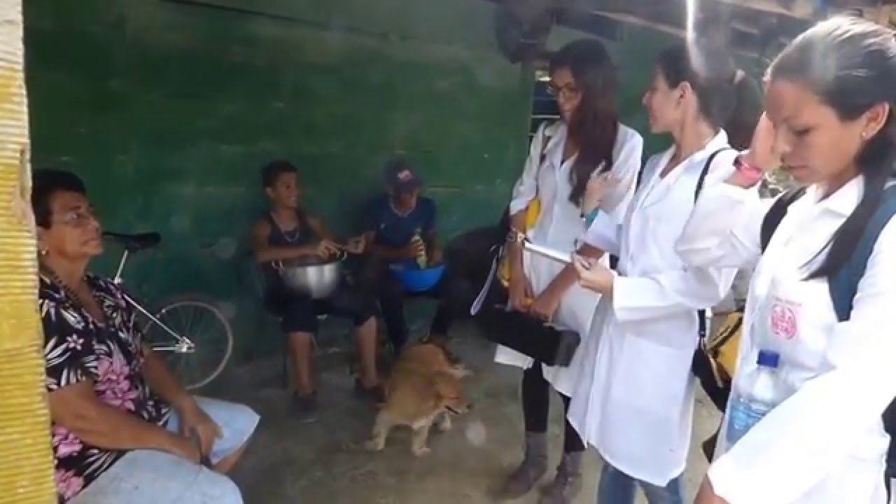 La visita domiciliaria como estrategia de la atención primaria y la promoción de la salud.