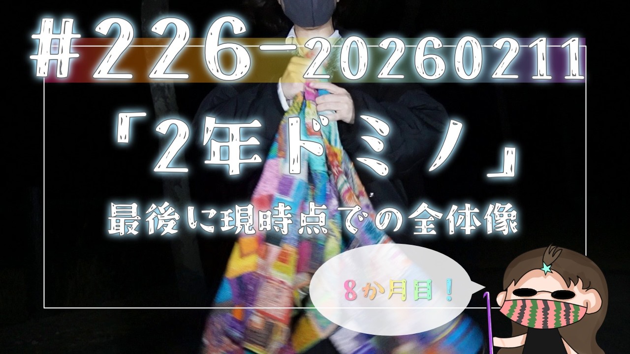 【226#2年ドミノ】2月11日ドミノ編み←最後の方で現時点での全体像