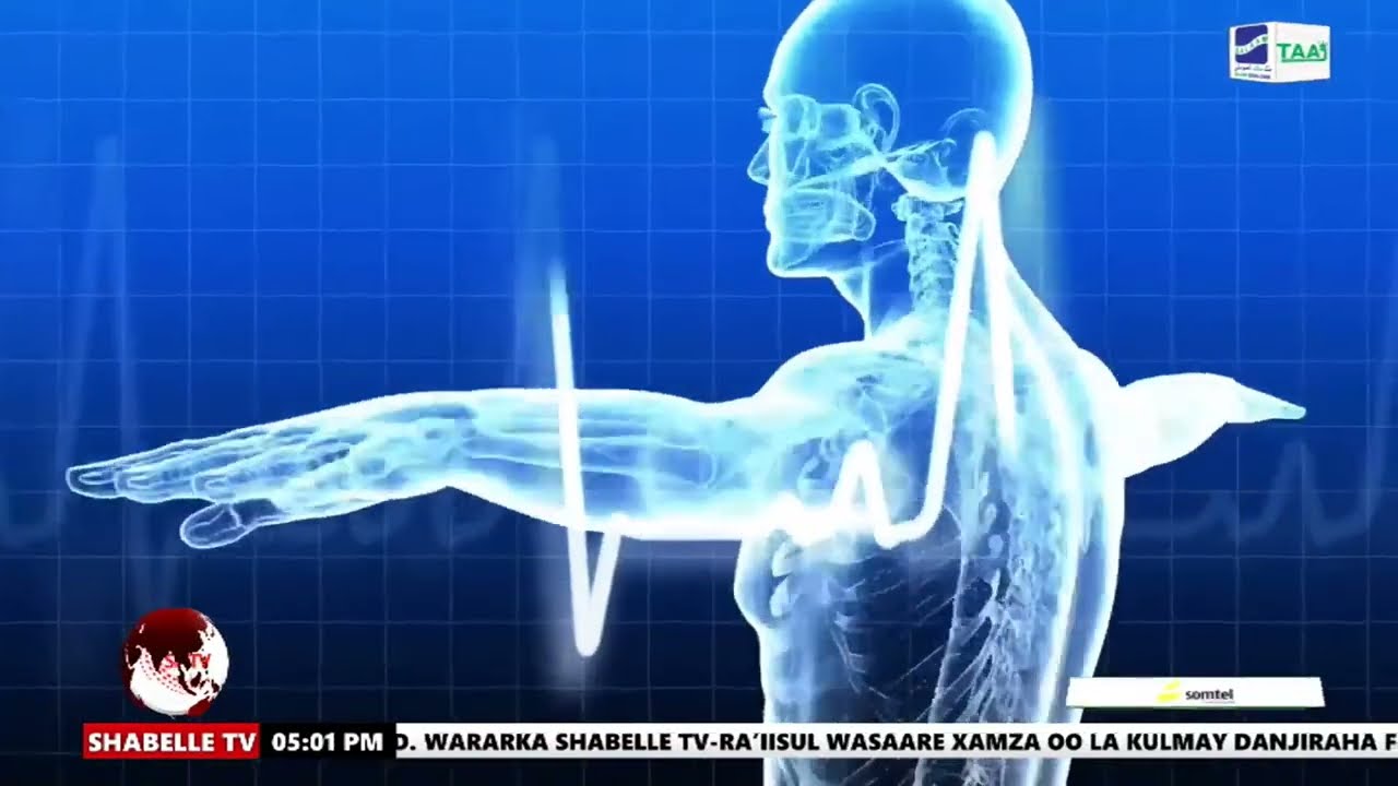 Waa maxay cudurka Galaha?