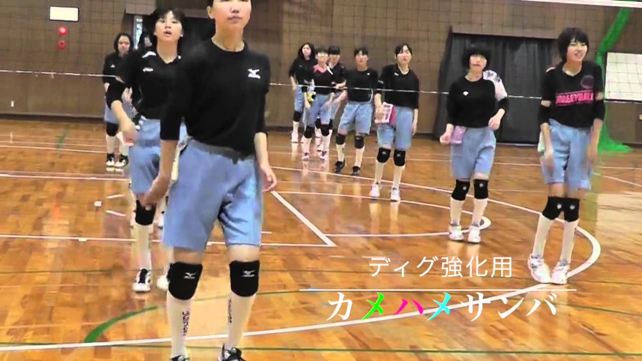 カメハメサンバ