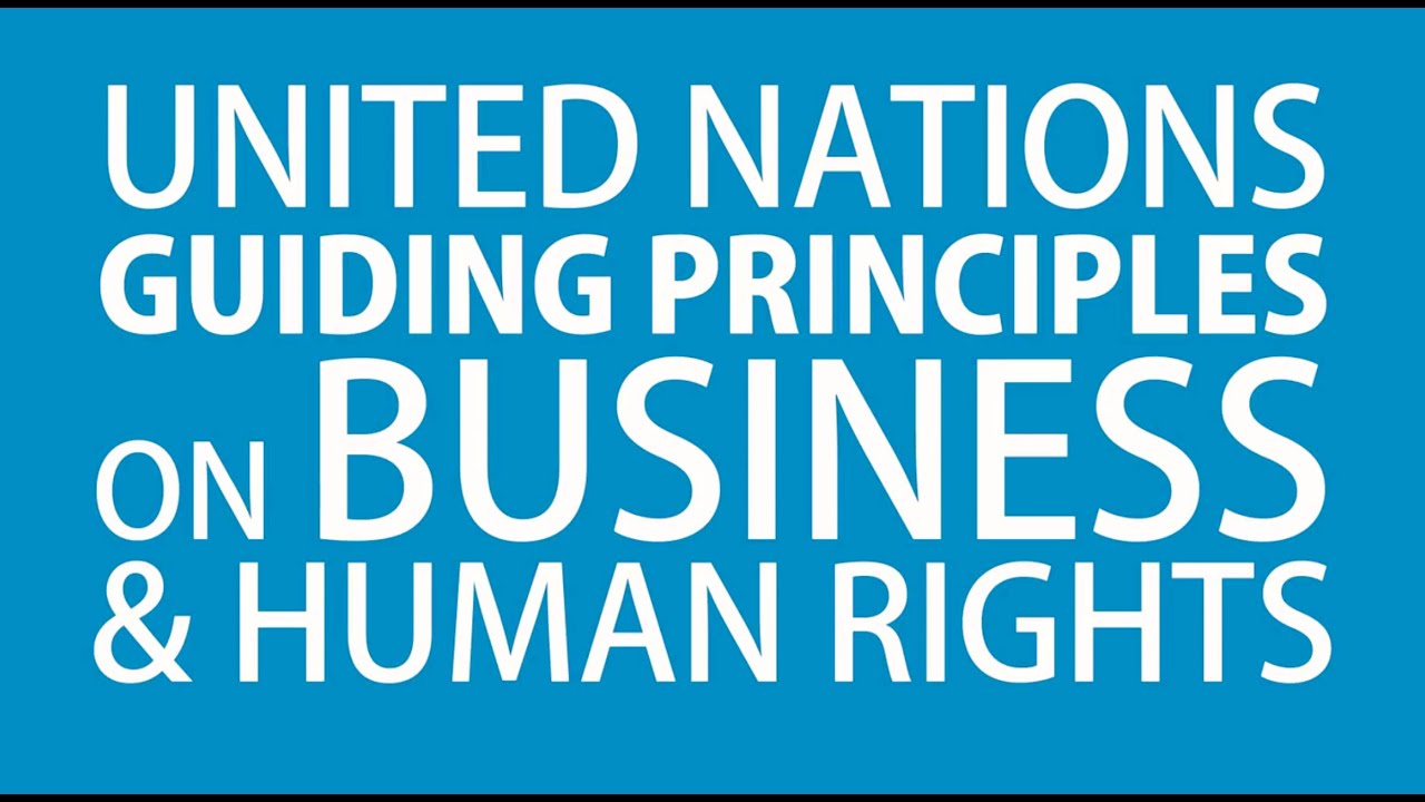 The UN Guiding Principles on Business and Human Rights: An Introduction