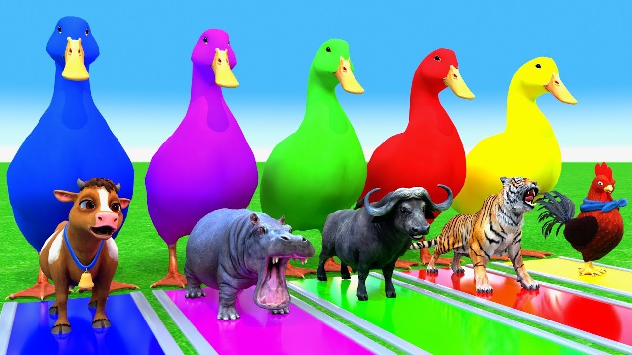 Long Slide Game With Cow Elephant Gorilla Hippopotamus Tiger 3d Animal Game Funny 3d Animals