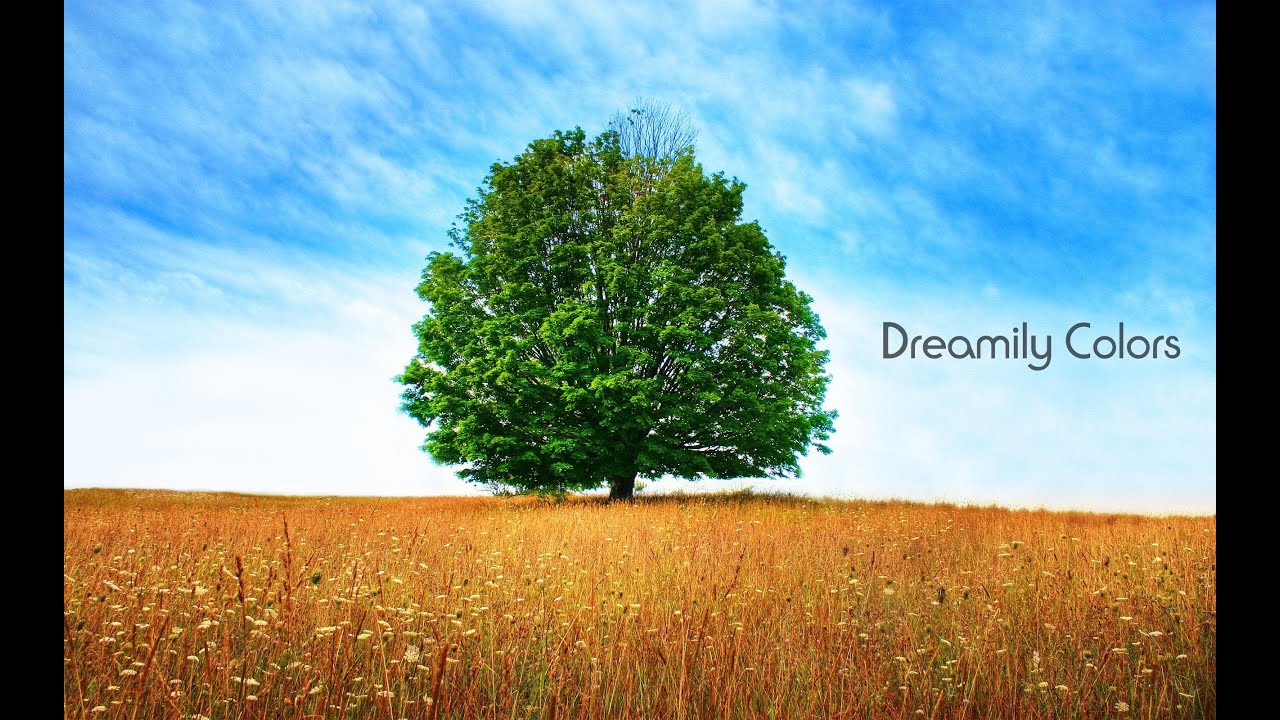 Liquid - Viquid - Dreamily Colors [Video]