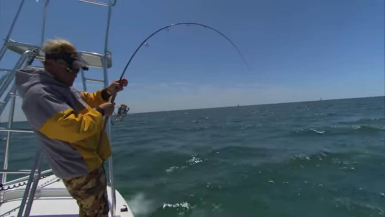 DOA Swimming Mullet Fishing for Cobia in Destin Florida