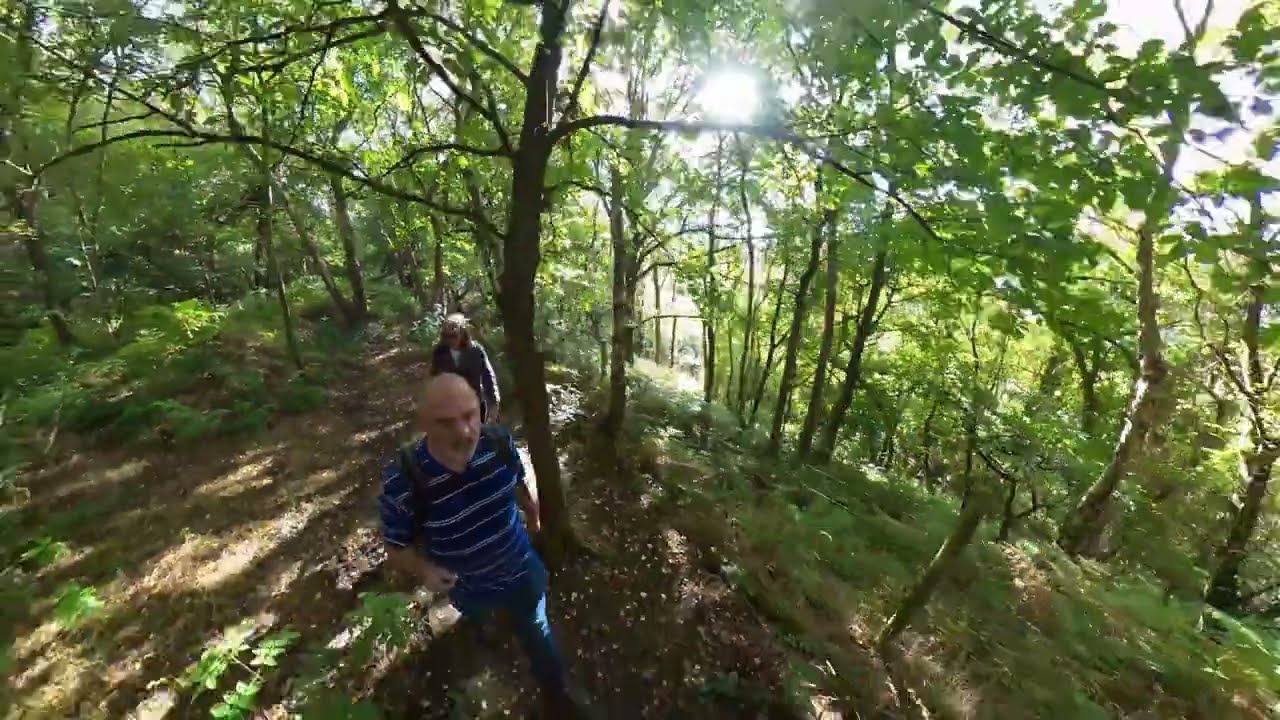 28 09 22 Middlewood (Higher Poynton) Jungle Walk 4k