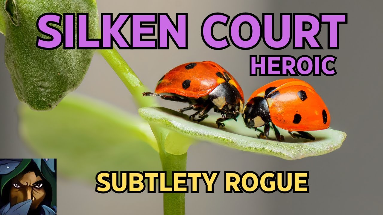 Silken Court Heroic | Subtlety Rogue