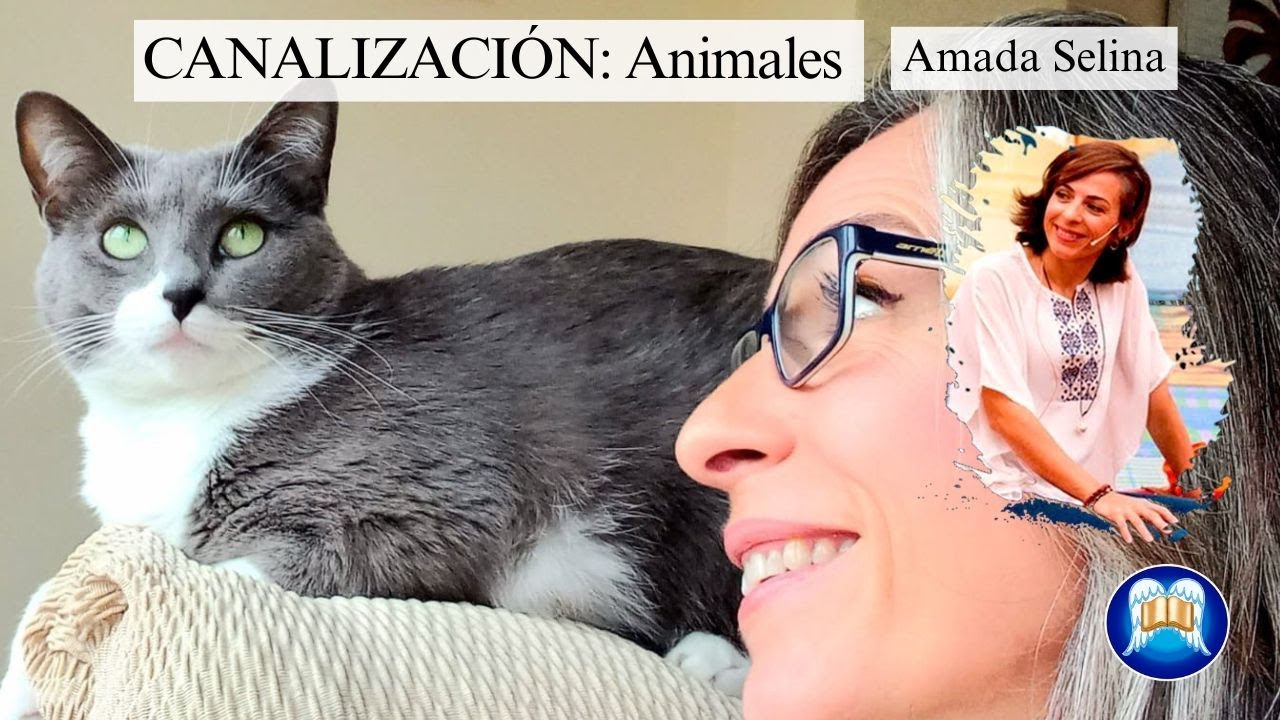CANALIZACIÓN: ANIMALES
