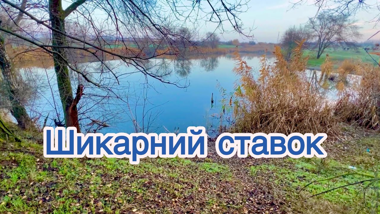 Рибалка в новому місці