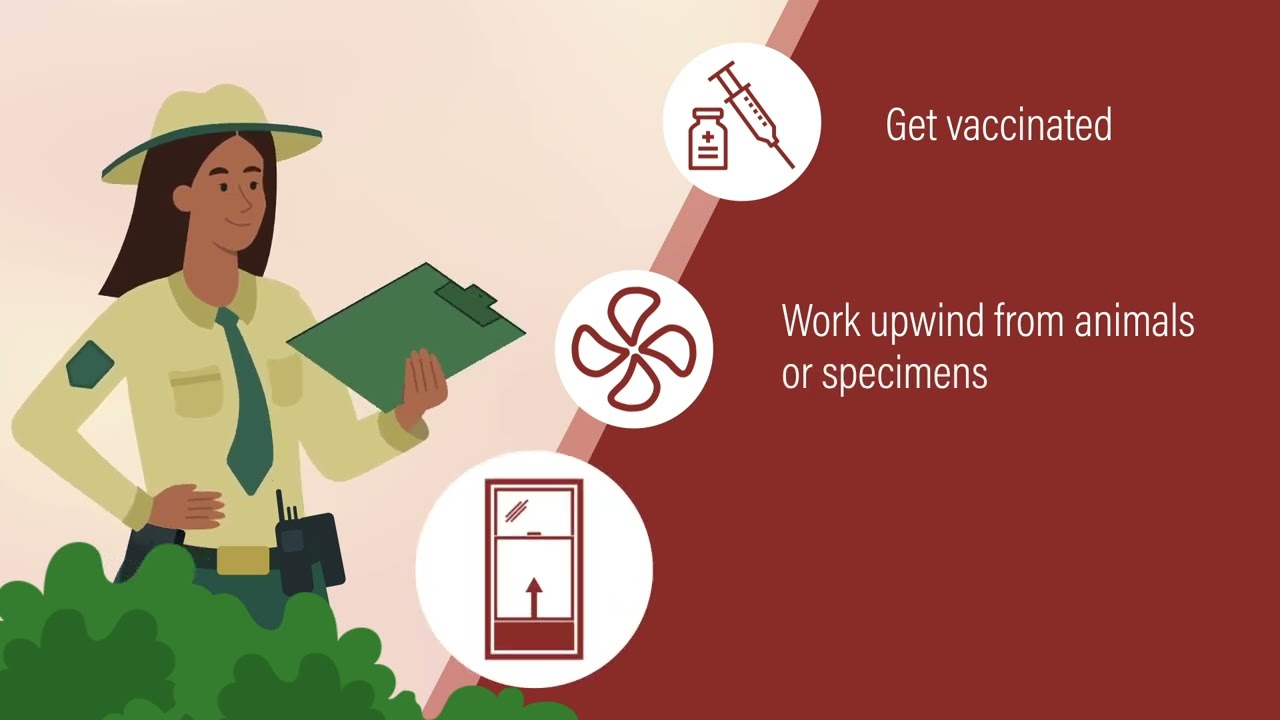 Staying Healthy Around Animals and Bugs to Reduce the Spread of Zoonotic Diseases