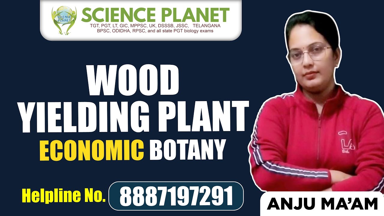 Wood Yielding Plant (Economic Botany) by Anju Mam #EconomyicBotany