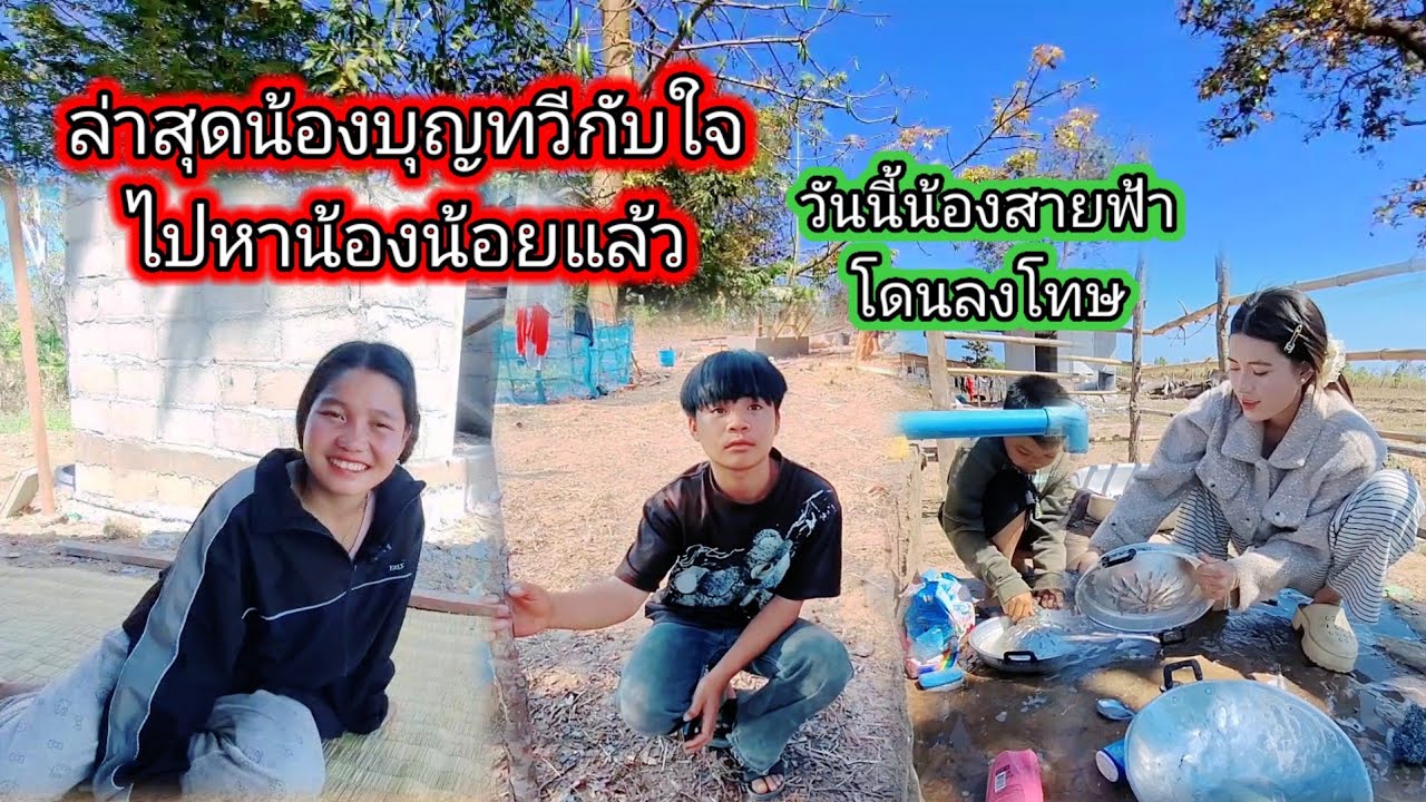 #ล่าสุดน้องบุญทวีกลับใจไปหาน้องน้อยแล้ว😲😲# วันนี้สาวแววลงโทษน้องสายฟ้า 12 กุมภาพันธ์ ค.ศ. 2026