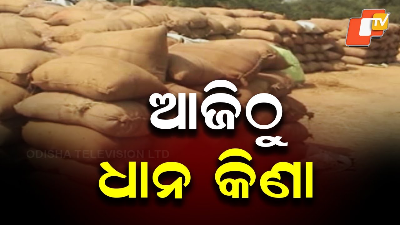 Odisha govt launches paddy procurement with higher target, strict oversight in mandis