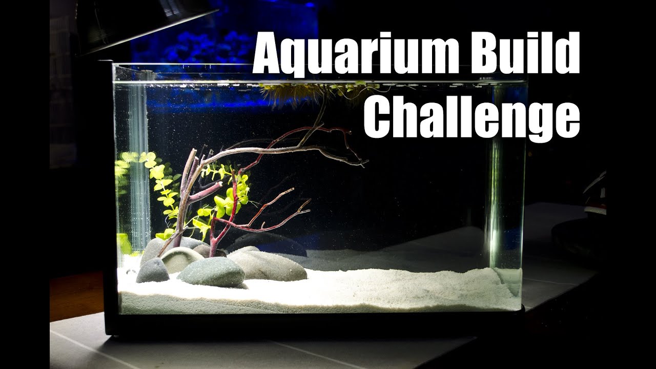 Challenging Myself to Design a Fish Tank Using an Aquatop Pisces 5 Gallon Aquarium!