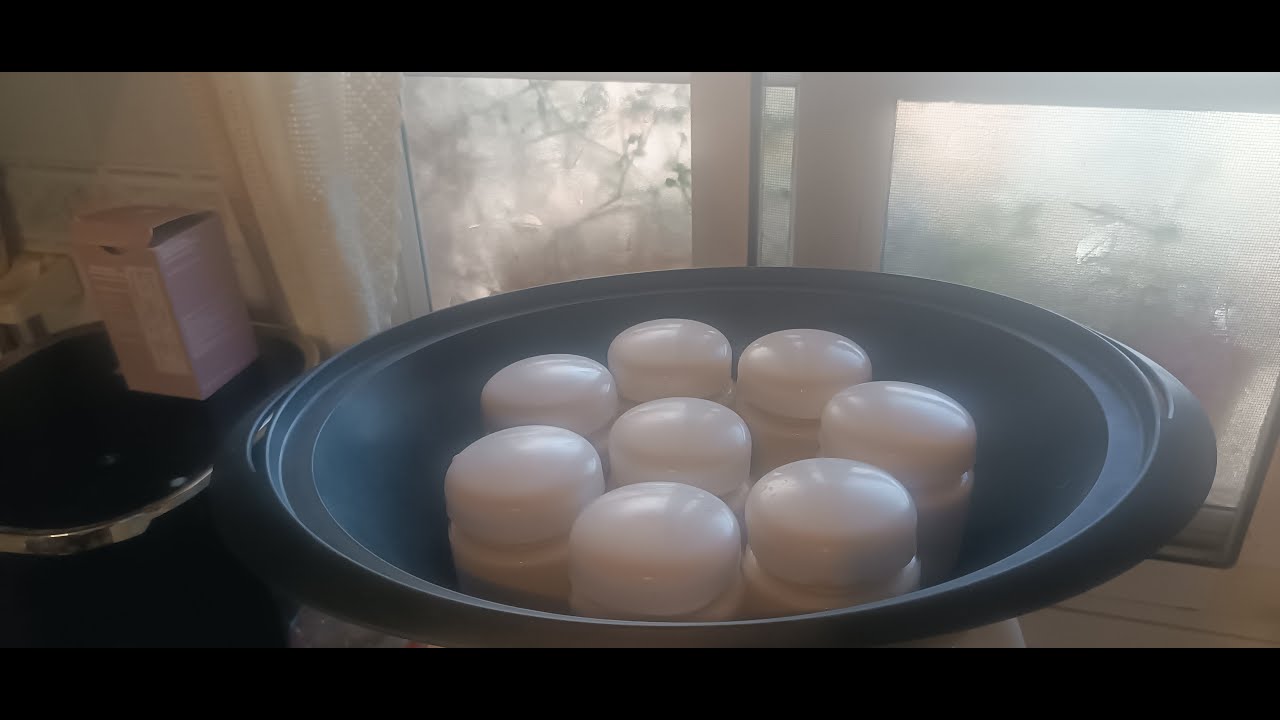 yogur de mango