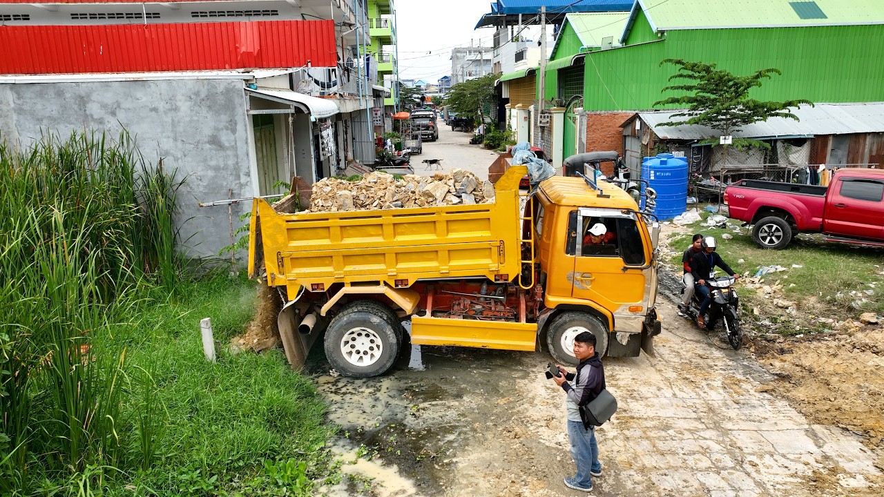 First Start Amazing Project! Delete Flooded Garbage Grass Using Dozer D20P Pushing Stone Into Water