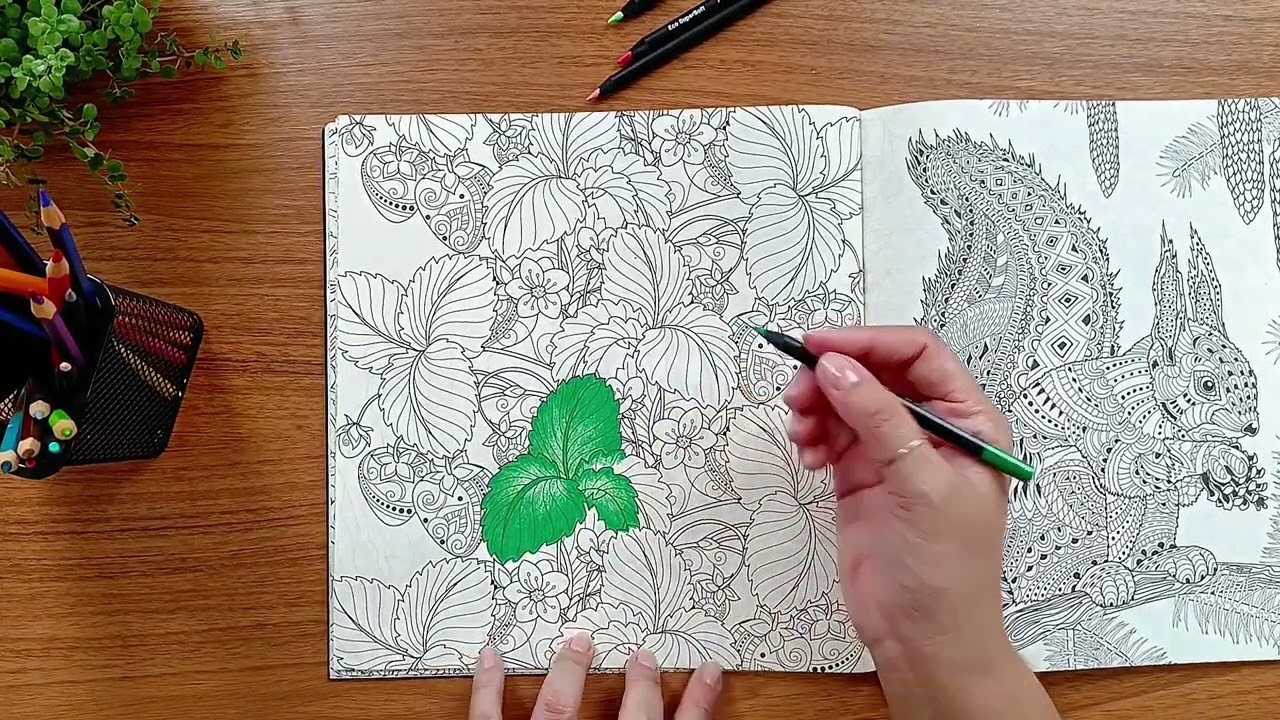 Начало новой раскраски • Длинное видео для совместного раскрашивания • Часть 1