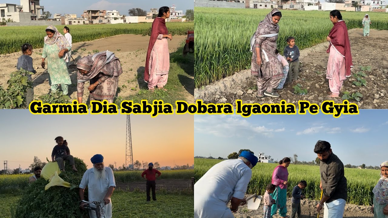 Garmia Dia Sabjia Dobara lgaonia Pe Gyia