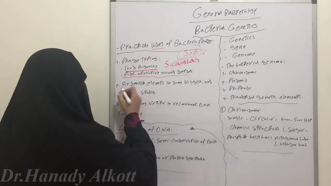 🤭🙃💀Bacterial Genetics Part 1  🧬😱🤓