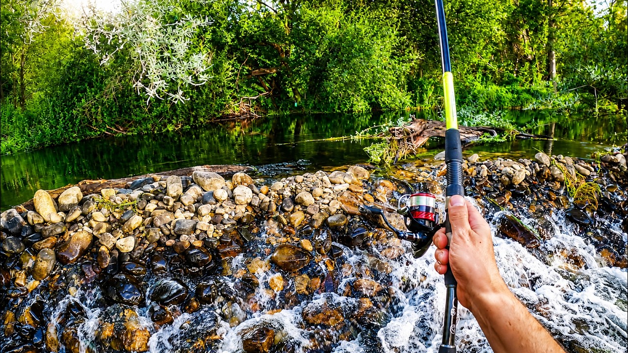 LA PESCA AL SERENO EN UN  PRECIOSO  RÍO