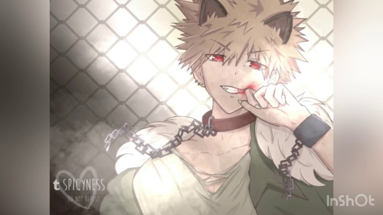 [Wolf Bakugou ASMR] Beautiful Flower (Hurt/Sick Listener, Worried Bakugou, Kissing, Soft Bakugou)